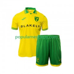 Koszulka Krótka dla Dzieci Norwich City Pierwszy strój 2025-2026