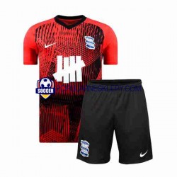 Koszulka Krótka dla Dzieci Birmingham City Drugi strój 2023-2024