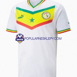 Koszulka Krótka Męska Reprezentacji Senegalu Pierwszy strój World Cup 2022