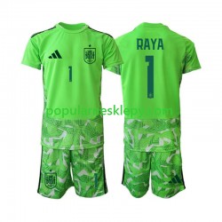Koszulka Krótka dla Dzieci Bramkarz Reprezentacji Hiszpanii David Raya 1 6th Green color World Cup 2026