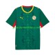 Koszulka Krótka Męska Reprezentacji Senegalu Drugi strój 2026 2027