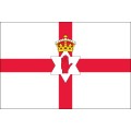 Reprezentacji Irlandii Północnej