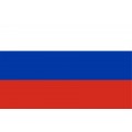 Reprezentacji Rosji